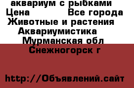 аквариум с рыбками › Цена ­ 1 000 - Все города Животные и растения » Аквариумистика   . Мурманская обл.,Снежногорск г.